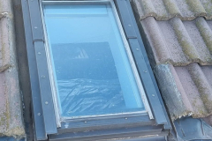 p92-e1699247384401