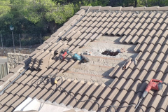 p42-e1699251557468