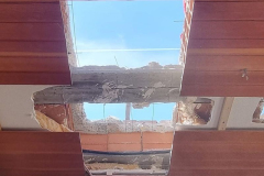 p43-e1699251571383
