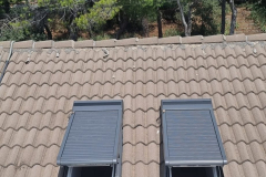 p49-e1699251680667